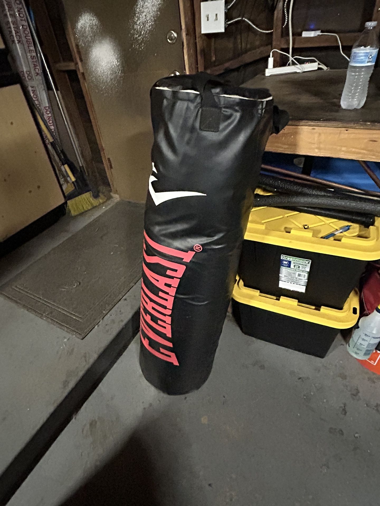 Everlast Punching Bag