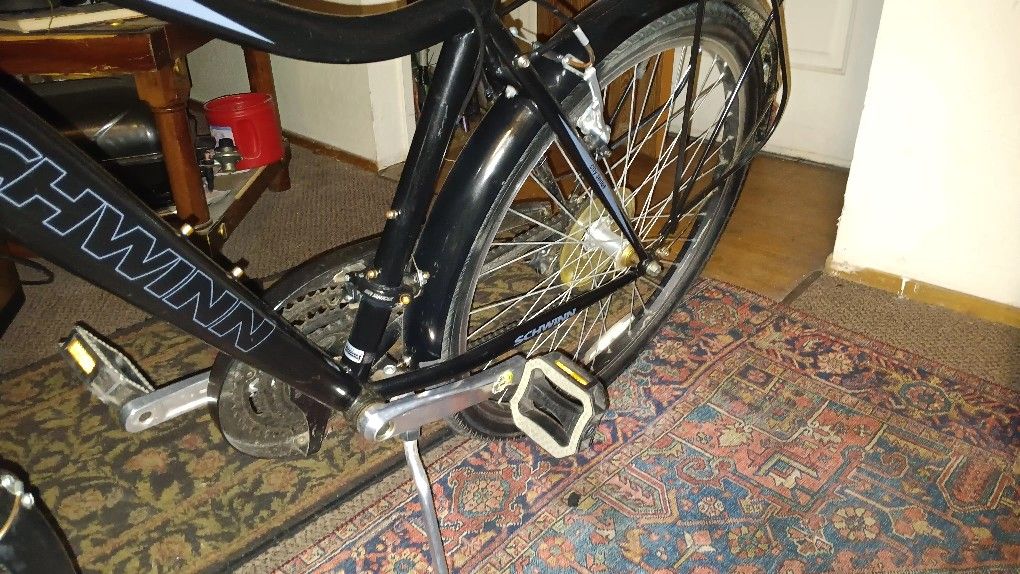 Adult Bike SCHWINN