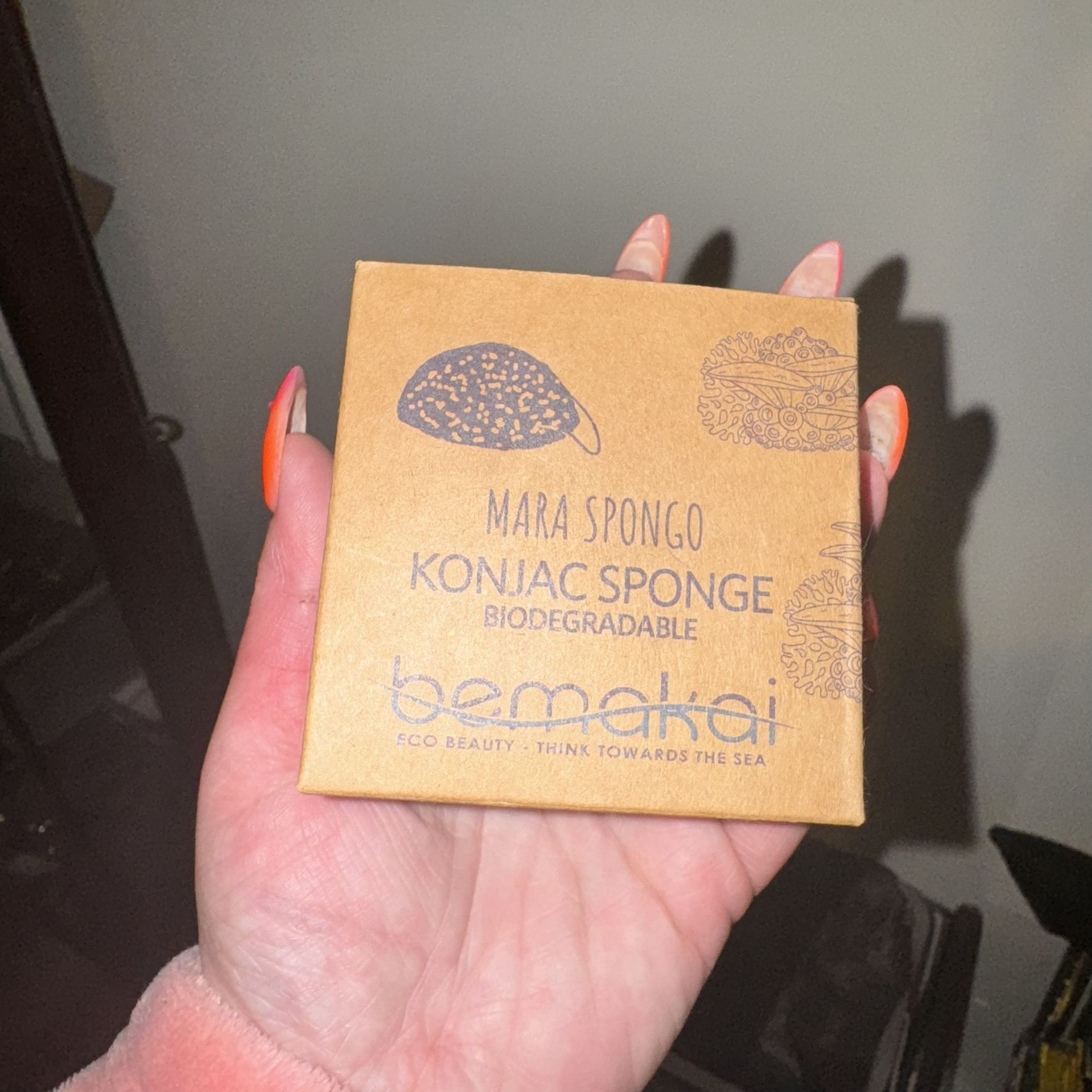 Konjac Sponge