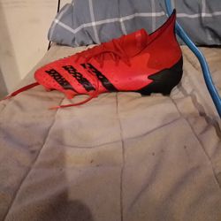 Soccer Shoes