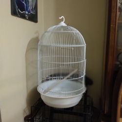 Bird Cages 