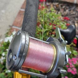 Shimano Torium Reel/New Lines/Black Hook Rod