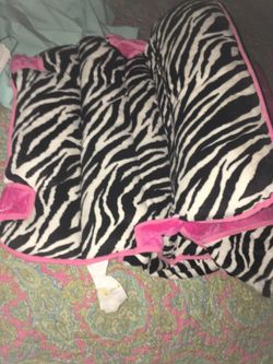 Zebra Naptime collection