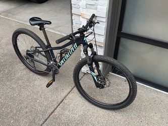 Specialized Rockhopper Mountain Bike, XS