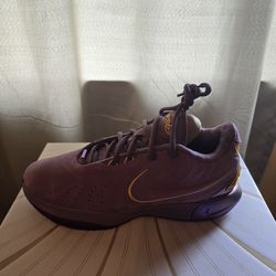 Nike Basketball Shoes LeBron XXi New