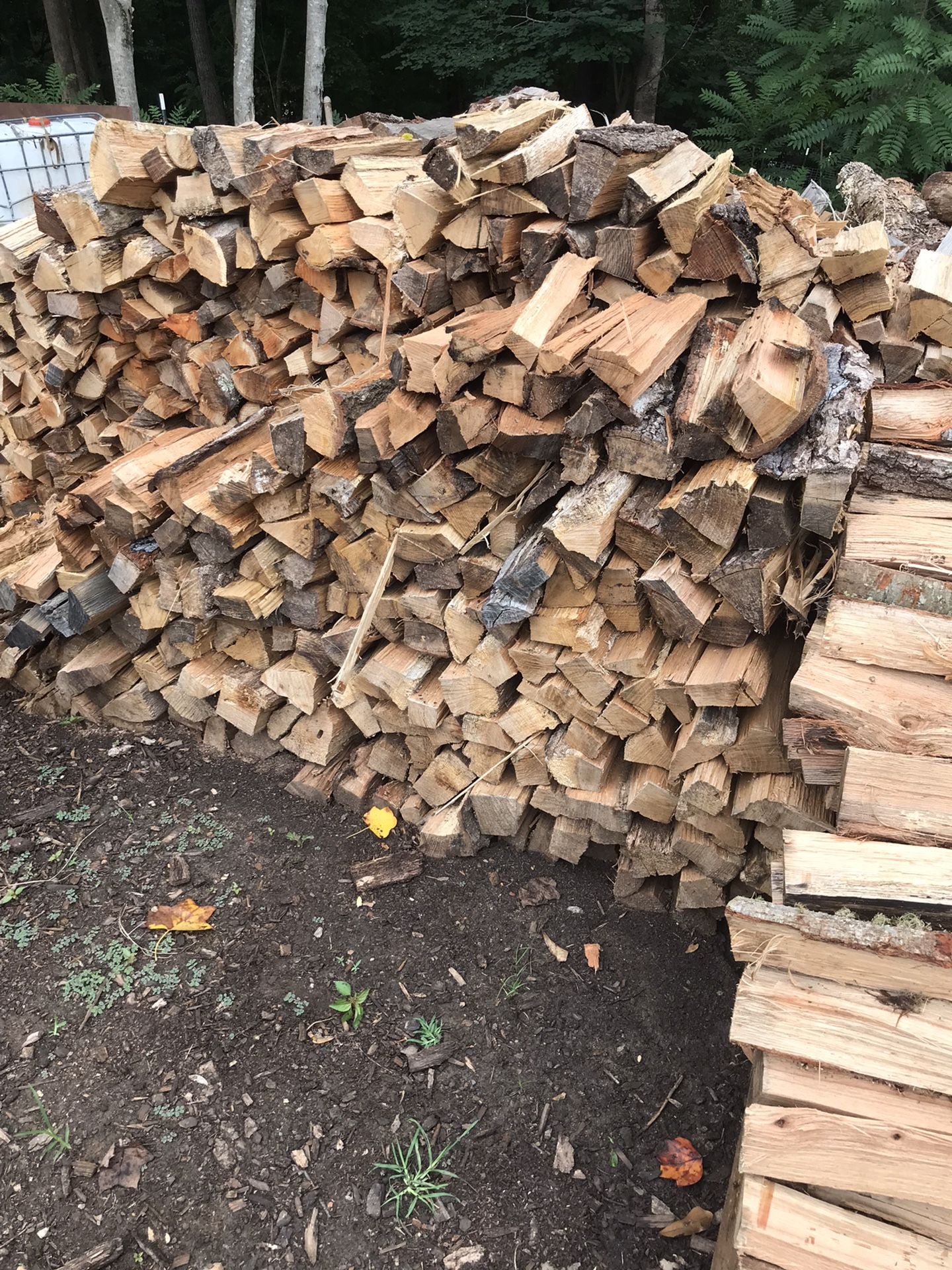 Seasoned Firewood