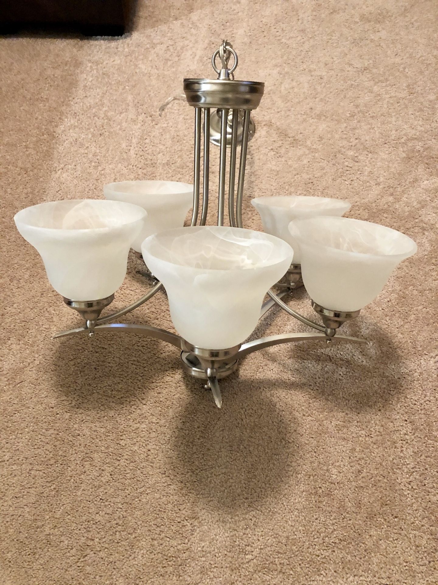 Chandelier/ Light Fixture