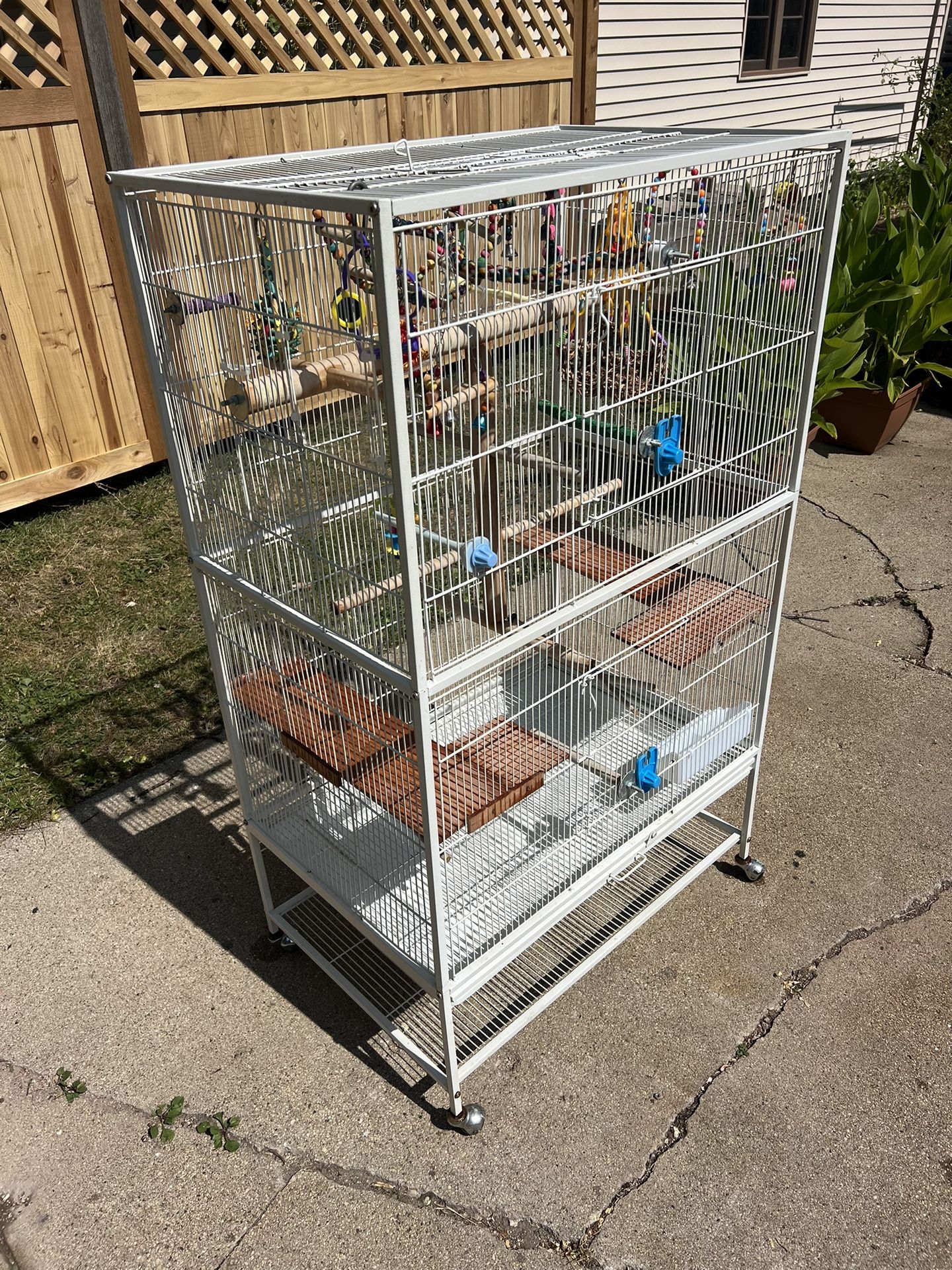 Medium Bird Cage
