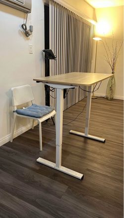 48 H x 39 W x 23 D Electric Standing Desk Oakwood/
