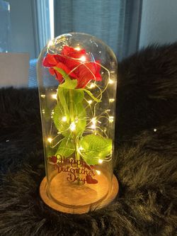 Eternal Rose Beauty And The Beast 