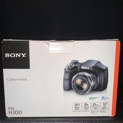Sony DSC-H300