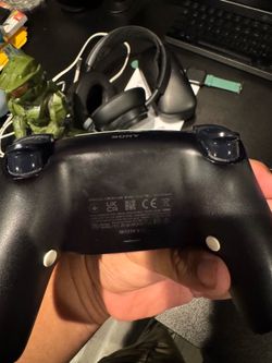 Battle Beaver PS5