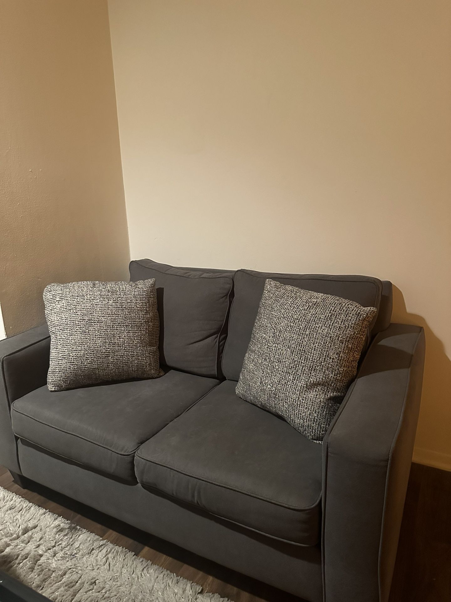 Grey Couch Love Seat 3x6 