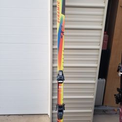 Dynamic Fx1 Skis