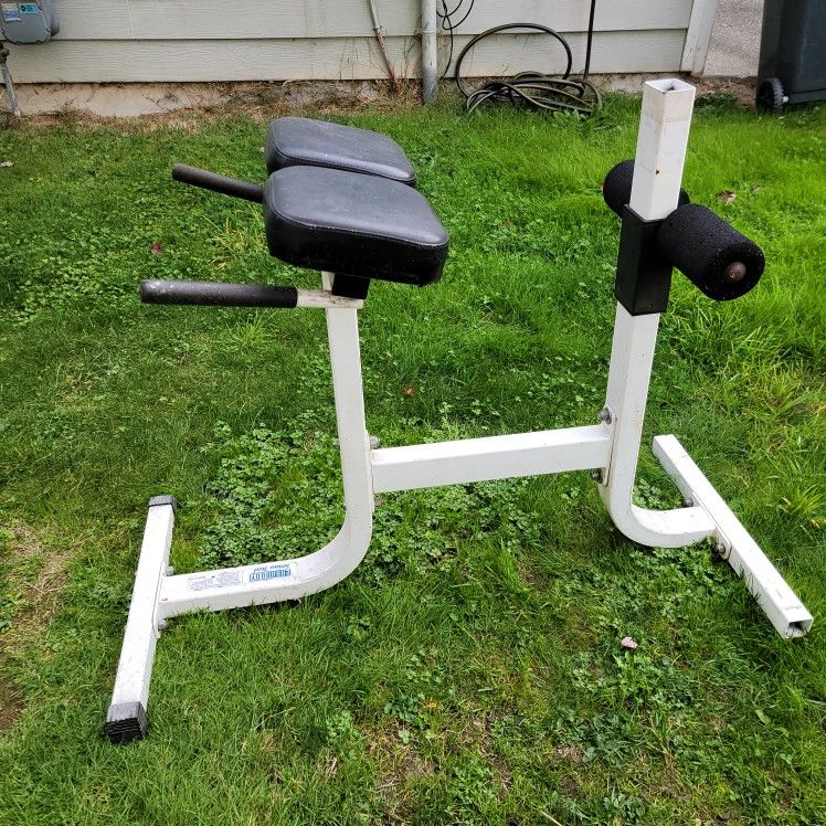 Back Extension Gym Equipment