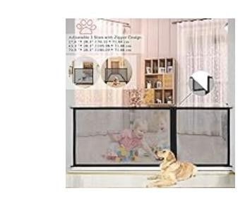 Pet Fence
