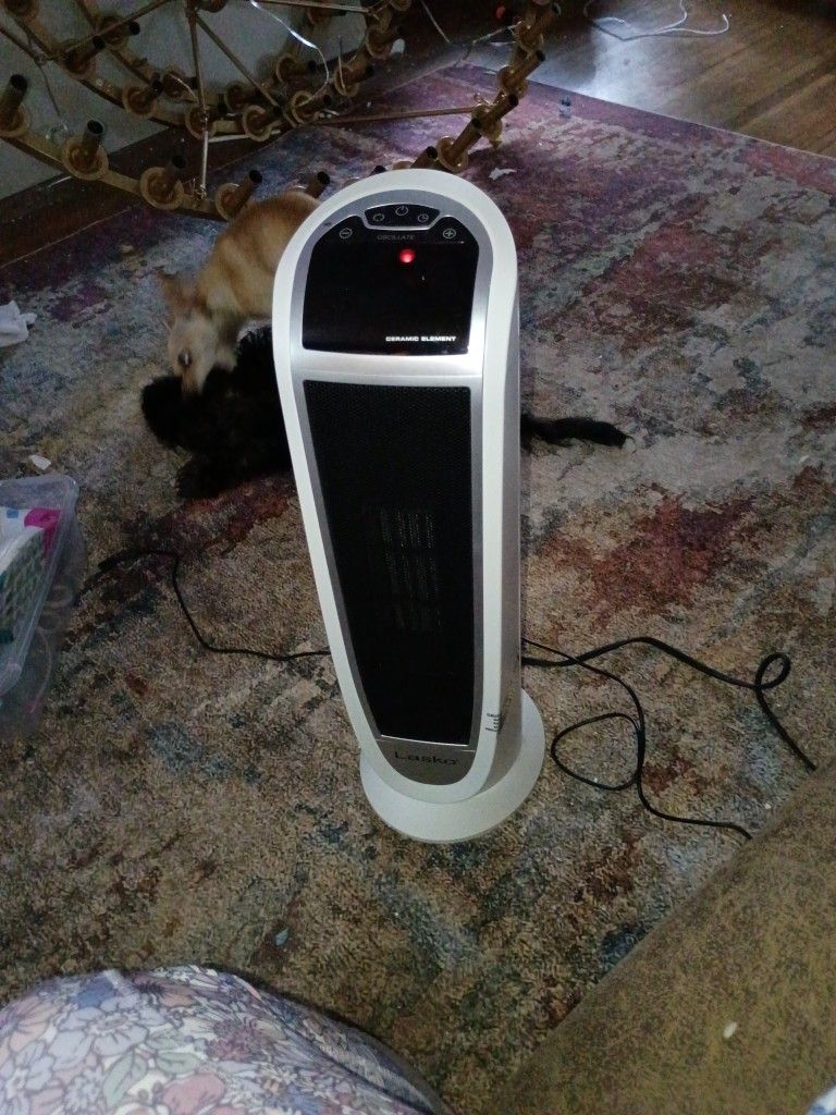 New Heater With Remote