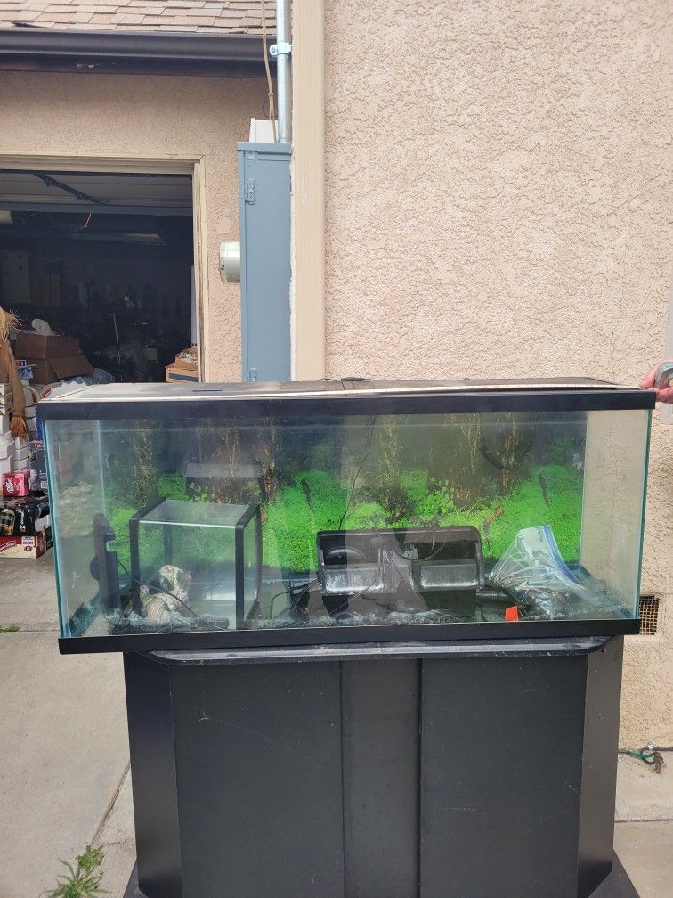 Large Fish Tank