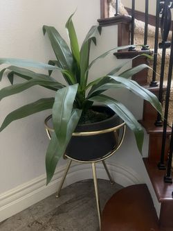 Decor Vase