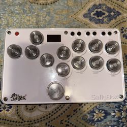Sally Box Arcade Controller $150