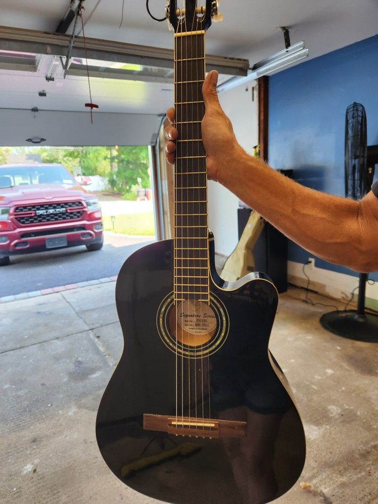 Signature Series Guitar
