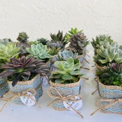Baby Shower/Bridal Shower/Wedding Gifts 