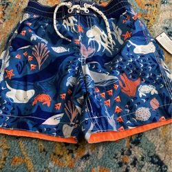Boys Swimming shorts Size 4