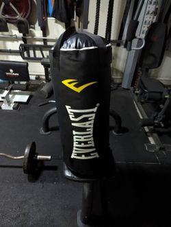 40 LB Everlast Punching Bag
