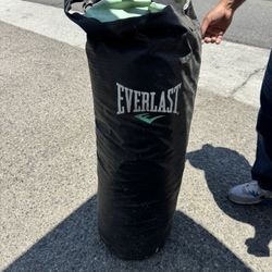 Everlast Punching Bag