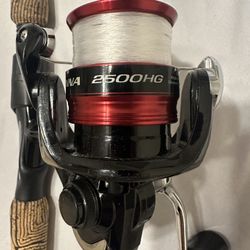 Fishing Rod And Real 