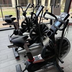 Airdyne Pro Exercise Bike