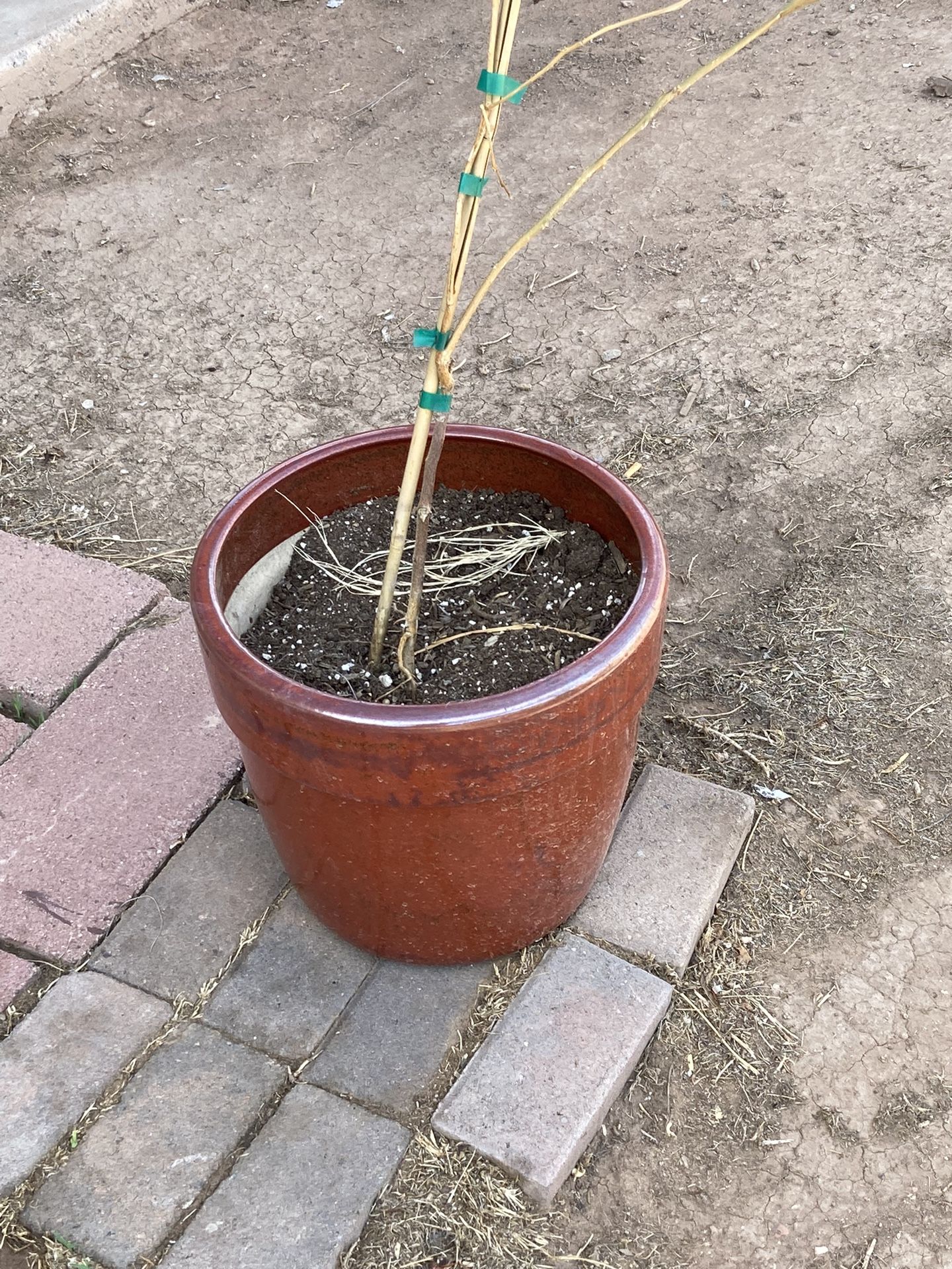 Ceramic Pot