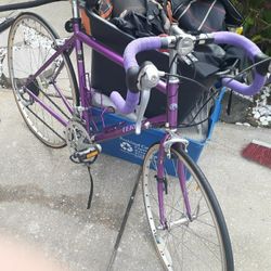 Vintage 90 s Georgena Terry Symmetry 26 22 Road Bike for Sale in Orange Park FL OfferUp