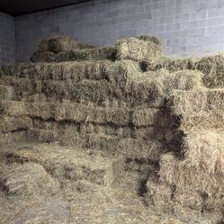 Small Square Bale Hay For Sale 