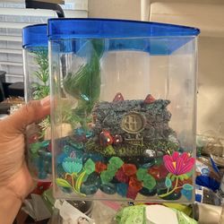 Beta Fish small tank