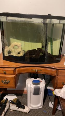 Aquarium 36 Bow Front