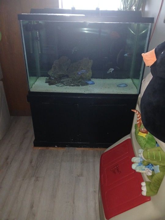 Fish Tank