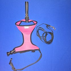 Brand New-Never Used Chicken Harness Hen size with 6-foot Matching belt