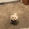 Amy