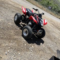 Artic cat 250