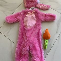 Costume Pink Rabbit