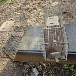 Live Traps ..