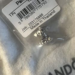 Pandora charms