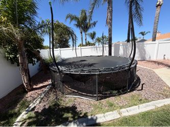 Free Trampoline