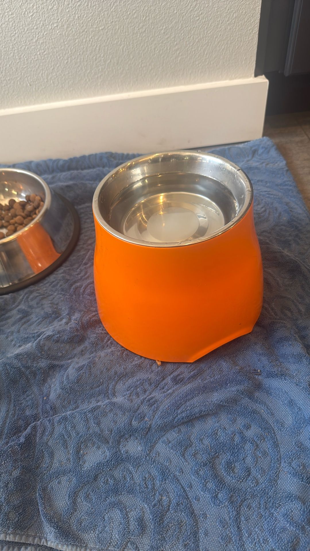 Dog Bowl