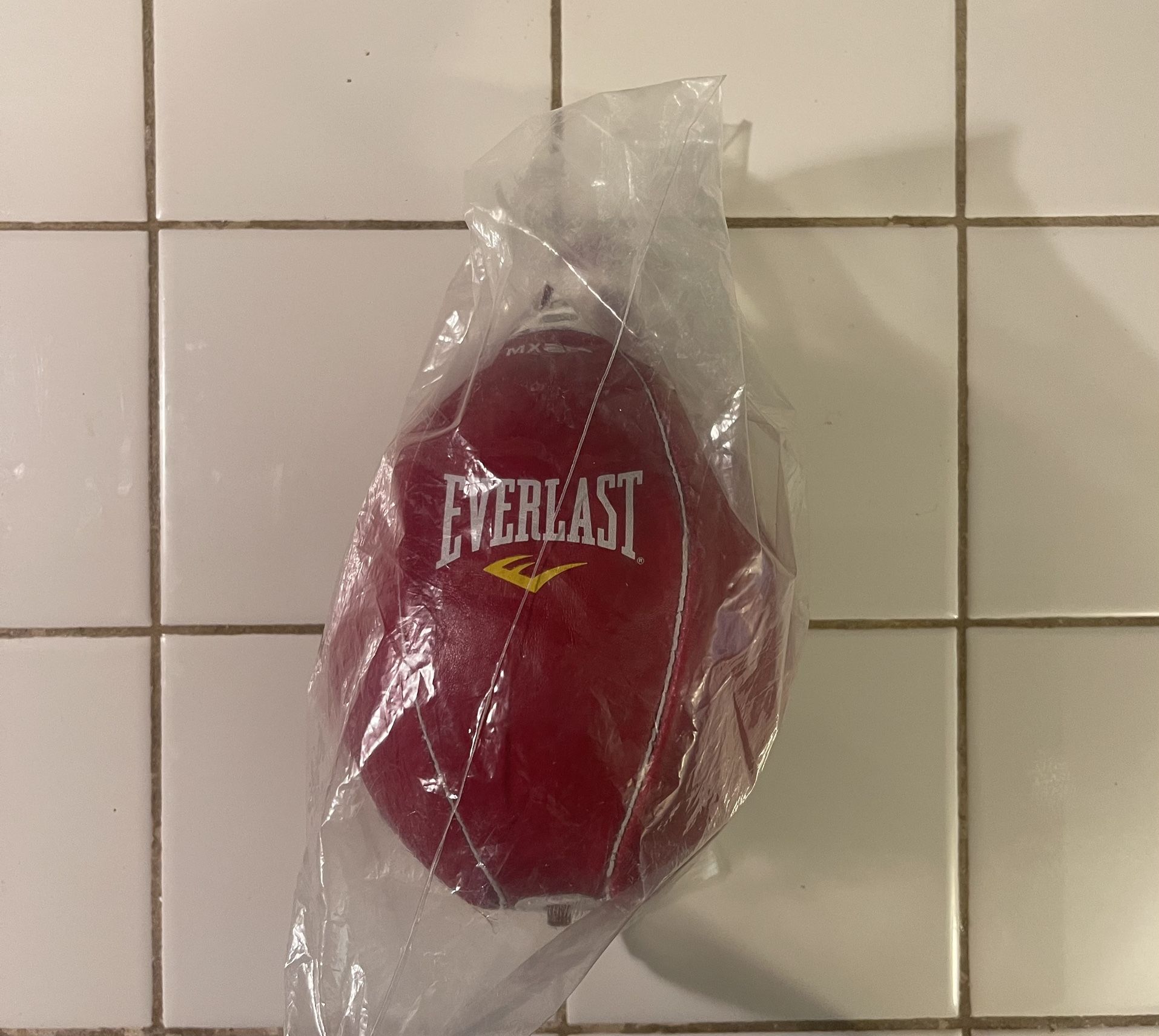 Everlast Speed Bag