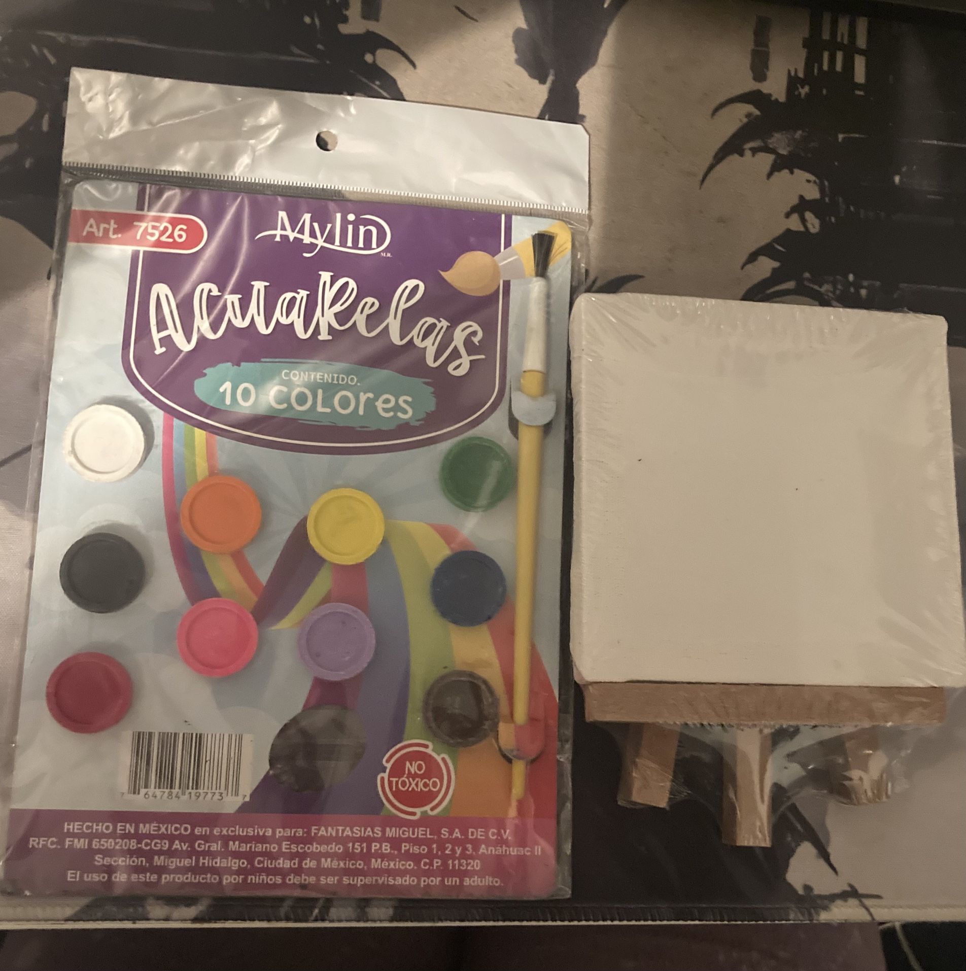 paint with brush and mini canvas π¨