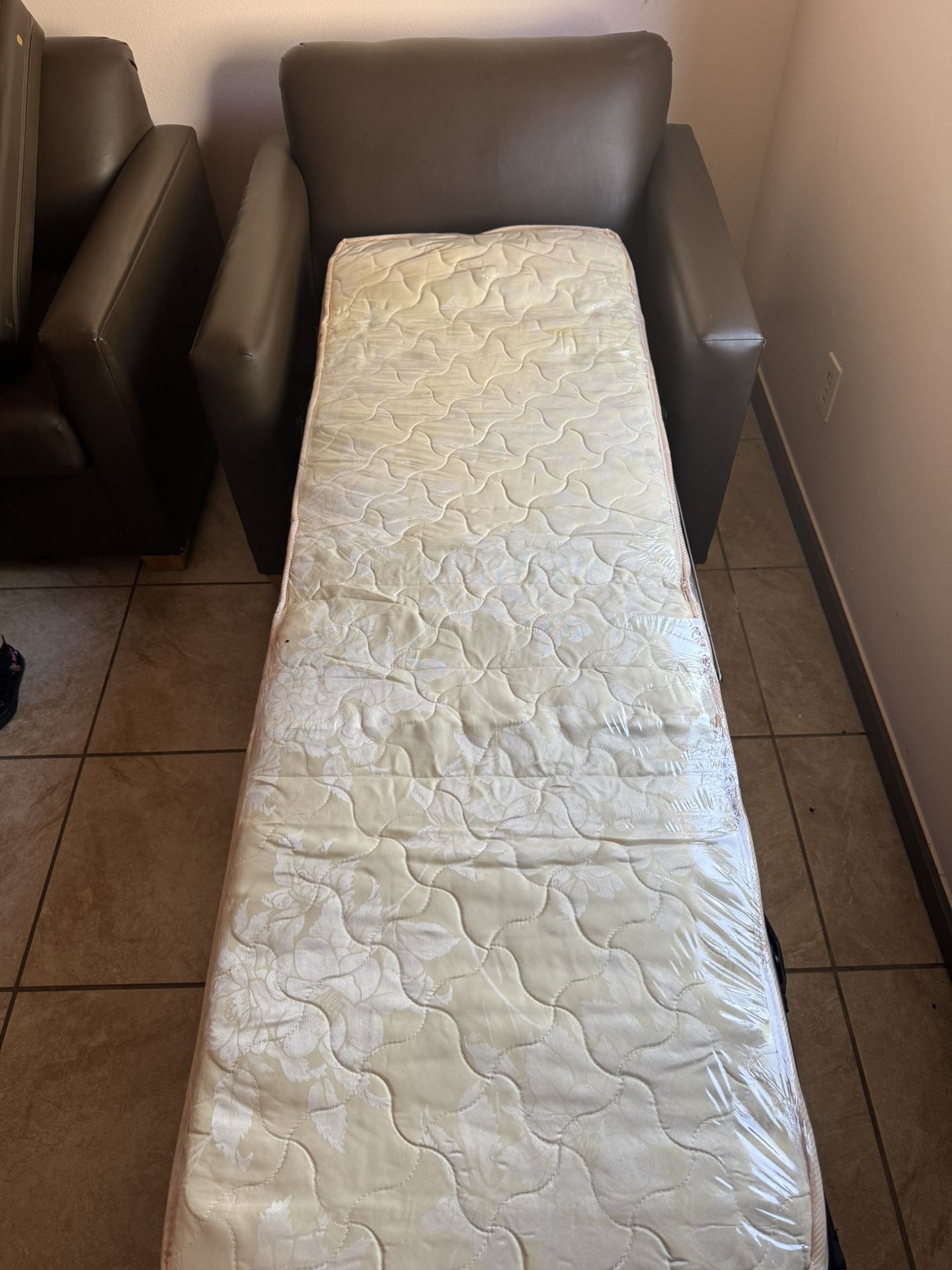 Armchair/Pull Out Bed Leather