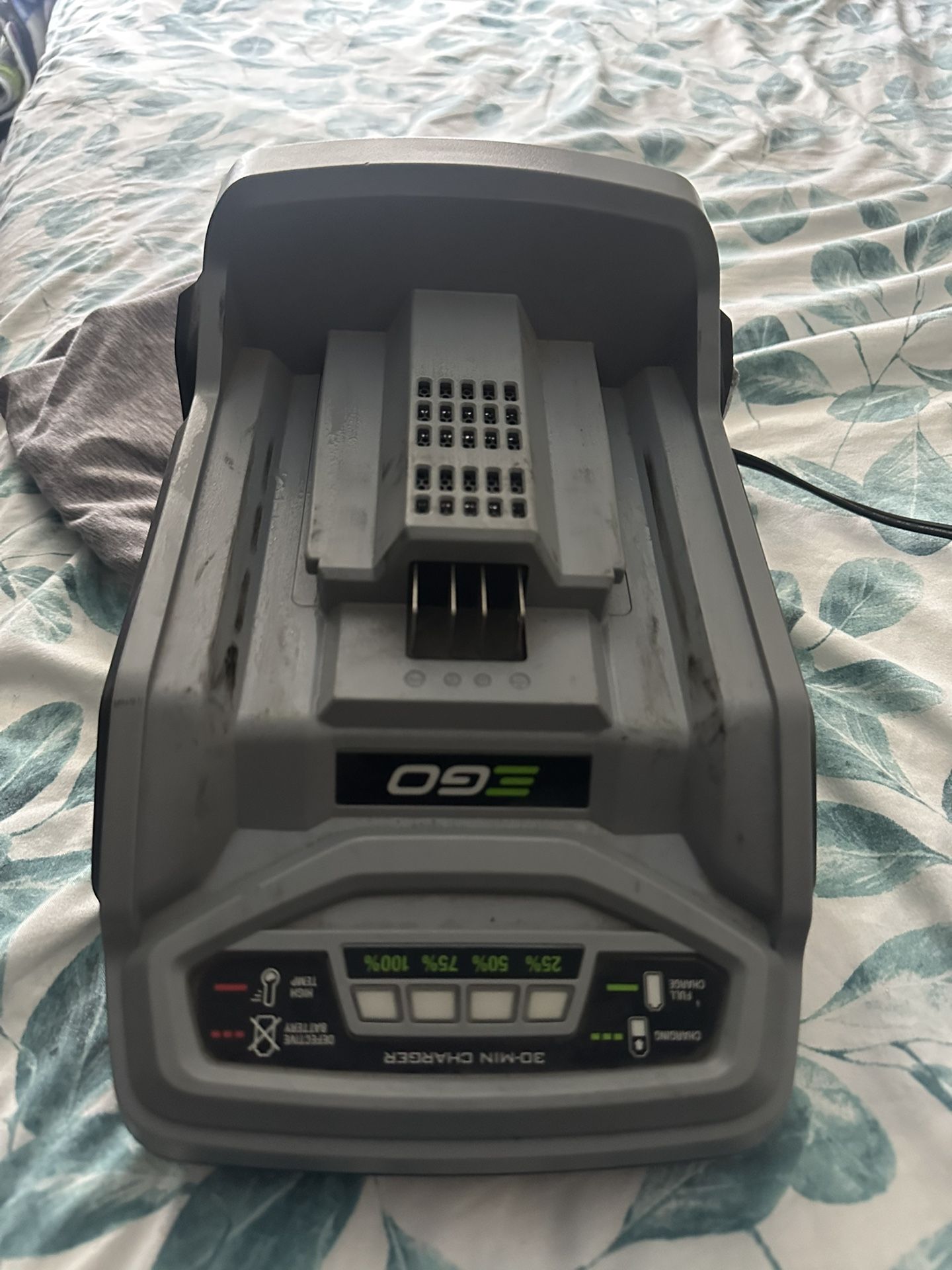 Ego Rapid Charger