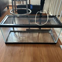 Reptile Tank ( 20 Gallon Long ) 